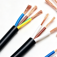 Cable Eléctrico Industrial de Alta Calidad RVV con Núcleo de Cobre Trenzado, Flexible, de Bajo Voltaje 300/500V, con Revestimiento de PVC para Uso Doméstico