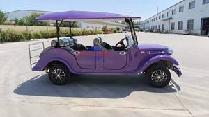 Voiturette de golf 6 places ZYCAR, véhicule utilitaire électrique, voiturette de golf de haute qualité - Product Image 2