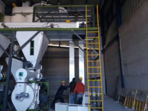 Nuovo Impianto Automatico Completo per la Produzione di Pellet da 1-4 Tonnellate all'Ora, Pellettatrice per Segatura di Legno da Biomassa, Paglia e Pula di Riso - Product Image 6