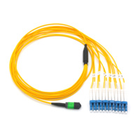 MPO femelle vers SC UPC Duplex 12 fibres LSZH SM Os2 câble de coffre monomode Type B MPO/MTP sortie 3.0mm cordon de raccordement