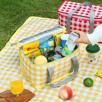Panier de pique-nique isotherme pliable grande capacité épaissi avec tapis, sac de transport pour le camping en extérieur et le déjeuner, rangement alimentaire portable