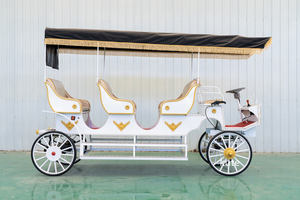 Charrette électrique de tourisme / Buggy touristique classique / Wagon de tourisme électrique à vendre - Product Image 2