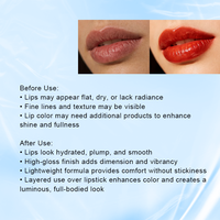 Mini Capsule Gloss à Lèvres Hydratant Ultra Brillant Huile à Lèvres Acide Hyaluronique Huile de Jojoba Vitamine C Végétalien Hydratant Nourrissant Raffermissant