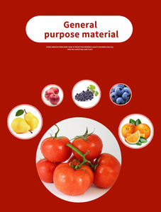 สายการผลิตซอสมะเขือเทศวางมะเขือเทศแบบเต็มรูปแบบโซลูชันเครื่องจักรสำหรับโรงงานวางมะเขือเทศแบบอัตโนมัติ - Product Image 6