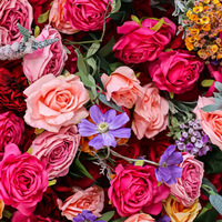 Mur de fleurs artificielles multicolores en rose, directement de l'usine, pour décorations de fond de fête et arrangements floraux de mariage