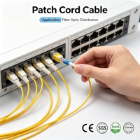 Câble de raccordement à fibre optique FTTH, SC vers LC UPC, monomode 2,0 mm