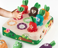 Jeu de Récolte de Carottes en Peluche 1 Ensemble Boîte Sensorielle Multi-Activités Puzzle de Tri et d'Association Cadeau Jouet PVC Bébé à Tirer Konig Enfants 0-24