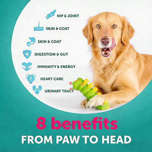 Multivitamines complètes pour chiens avec probiotiques et glucosamine, 26-en-1, saveur bœuf, comprimés à mâcher pour chiens, 60 unités - Product Image 6