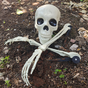 Decoración de esqueleto de Halloween, accesorio de talla única para disfraz de fiesta, sesiones de fotos - Product Image 2