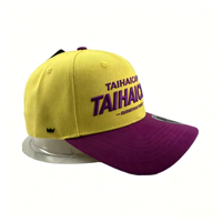 Topi Baseball Snapback 6 Panel Unisex Berkualitas Tinggi Bordir Puff Custom Terry Bows Formal Sporty Terstruktur Puff Printing
