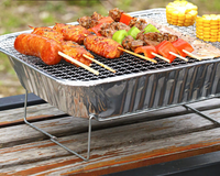 Grille de barbecue perforée galvanisée - Grille jetable/réutilisable pour le camping en plein air, le barbecue à domicile et la cuisine en pique-nique