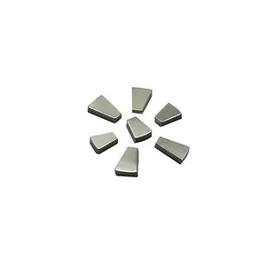 Trapeziumvormige Sterke Neodymium Magneet Fan vorm Magneet Sector arc Magneet