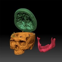 Modèle de crâne humain imprimé en 3D en résine, figurine personnalisée SLA, ornement pour la maison, enseignement médical, laboratoire d'anatomie scolaire, personnalisation de précision