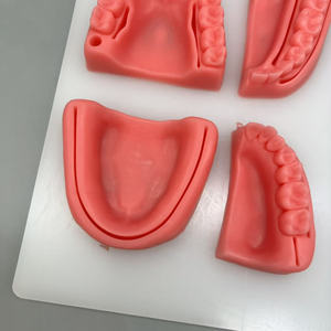 口腔缝合模块医学教育牙科学生培训人体模型拆卸缝合实践模型 - Product Image 4