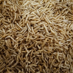 Toplu toptan yüksek <span class=keywords><strong>Protein</strong></span> dondurularak kurutulmuş süper solucan <span class=keywords><strong>Maggot</strong></span> tozu gıda sınıfı kuş Pet besleme kas kazancı için - Product Image 3