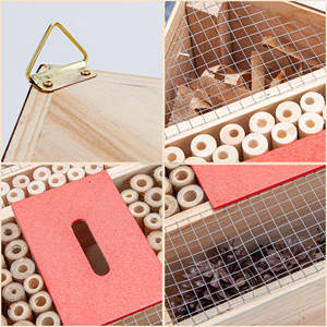 Großhandel chinesisches Holzbienenhaus Honigbienenkasten Haus Insektenaufenthaltungshotel für Imkereibedarf guter Preis Verkauf - Product Image 6