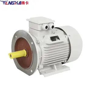 Tengka 240v v ac מנוע 300 סל סל 15000 סל סל 4000rpm ac מנוע 220v