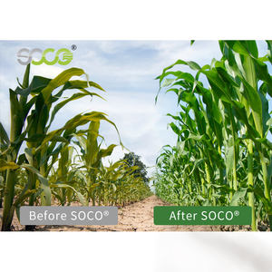 Acrilato de potasio de <span class=keywords><strong>agua</strong></span> sólida a la venta <span class=keywords><strong>hidrogel</strong></span> de polímero superabsorbente para agricultura para plantas/árboles/plántulas/reducir el <span class=keywords><strong>agua</strong></span> - Product Image 4