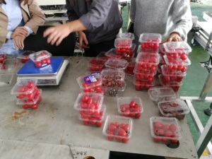 Automatic 10/14 Heads <strong>Weigher</strong> Scale Cherry Tomatoes Clamshell Punnet Tray Weighing <strong>Multihead</strong> <strong>Weigher</strong> For Packaging <strong>Machine</strong> - Product Image 5