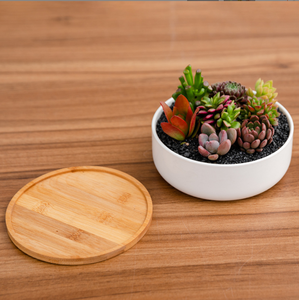 Mini <span class=keywords><strong>pot</strong></span> de fleur succulente en céramique blanche et outils de plantation <span class=keywords><strong>pot</strong></span> <span class=keywords><strong>rectangulaire</strong></span> simple avec plateau en <span class=keywords><strong>bambou</strong></span> - Product Image 2