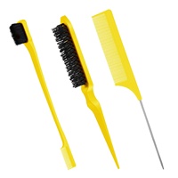Ensemble de peignes à cheveux en gros 3 pièces, Logo personnalisé, queue de Rat noir, brosse à taquiner, brosse à bord, peigne à queue pour les soins de Salon de beauté