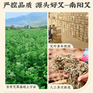 Verpackte Moxa-Sticks (54 Stück) Fabrik-Großhandel Reine Moxa-Sticks Reine Moxa-Wolle Handgefertigte Gereifte Moxa-Sticks - Product Image 5