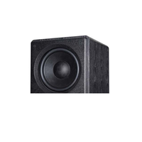 Subwoofer actif de cinéma à la maison de puissance élevée, subwoofer à la maison de poids excessif