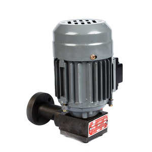 ปั๊มน้ำมันโรเตอร์สำหรับโรงไฟฟ้า ZCB-0.8 ZCB-1.2 ZCB-1.5 ZCB-2.2 ZCB-2.5 - Product Image 2