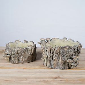 Maceta de Cemento Hecha <span class=keywords><strong>a</strong></span> Mano Lianda, Ecológica, con Forma de Hongo, Escultura Decorativa Única para Hogar y Jardín, Plantas y Flores envasadas en Cartón - Product Image 2