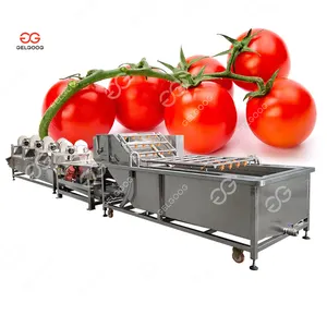 Máquina de lavado Industrial de agua con burbujas, verduras y frutas para lavar aparato automático de ozono, tomates y zanahorias