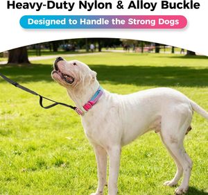 Custom Tactical Gradient Dog <b>Collar</b> Luxury Training Dog <b>Collar</b> <b>Leash</b> With Soft Padded for Dogs - Product Image 5