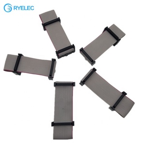 Factory Customization Double <b>Row</b> 2x10pin IDC 2.54mm to 20 Pin Idc2.54 Pitch Female Flat Flex Ribbon Cable Assembly with Machine - Product Image 3