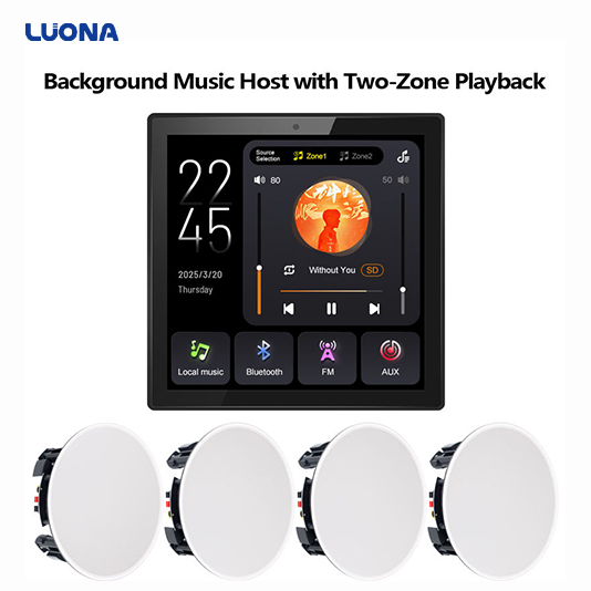 LUONA Smart Background Music Host System 86 Type In-Wall Music Panel Amplifier with TF USB Playback FM Radio BLE 5.0 for Home
