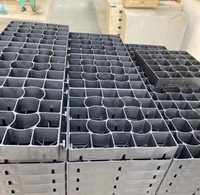 Grille stabilisatrice de gravier en plastique pour paddock d'équitation