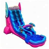 Toboggan aquatique gonflable commercial sur le thème de la plage, grand modèle avec piscine à jets d'eau pour enfants et adultes, location pour événements