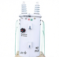Transformateur immergé dans l'huile monophasé 25 kVA monté sur poteau 13,2 kV 60 Hz CE ISO9001 pour l'alimentation électrique agricole et résidentielle
