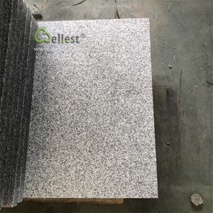 <span class=keywords><strong>China</strong></span> granito pedra <span class=keywords><strong>g603</strong></span> cinza claro granito chama telha piso ao ar livre granito telha - Product Image 5