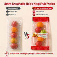 Sac à soufflets latéraux refermable de qualité alimentaire PET/PE avec trous respirants pour l'emballage des fruits