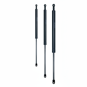 CILINDRO OLEONEUMÁTICO C:250mm; F:100N con amortiguador (VO25/010A) - Product Image 1