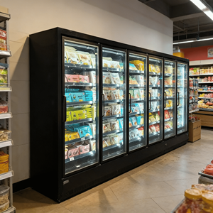 Congelatori Verticali Commerciali per Supermercati, Vetrine Refrigerate per Alimenti Surgelati con Porta in Vetro - Product Image 6