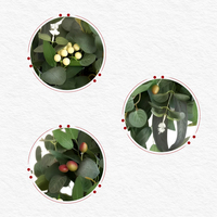 Guirlande artificielle d'eucalyptus et de baies, fausse guirlande de verdure, décoration de mariage, décoration de porte d'entrée, arrangement floral, vente en gros