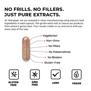 Cogumelo <span class=keywords><strong>Ganoderma</strong></span> <span class=keywords><strong>Lucidum</strong></span> orgânico de marca própria em cápsulas Lingzhi Reishi Extrato de cogumelo em pó Cápsulas Reishi Cápsulas - Product Image 4