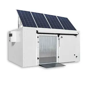 solar powered cold room for fish and meat Commercial Freezer Container Provided mini Cold Storage Cool Room 50 Tons