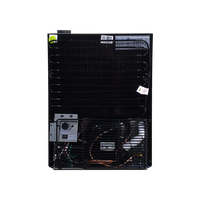 Congélateur miniature Meisda SD21 21L ODM OEM pour supermarchés, congélateur à crème glacée commercial