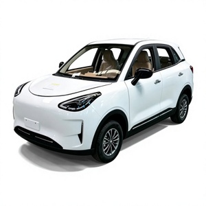 Wholesale New Low-speed EV Four-wheel Vehicles 3500W (4kW) Motor <100 km Range Suitable for Adults New Energy