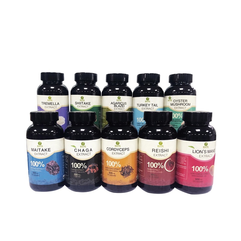 Top Quality Herbal Mushroom Extract Powder