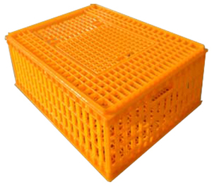 Live Chicken to Transport Cages for Sale Transport Basket Professional Plastic Chicken Crates