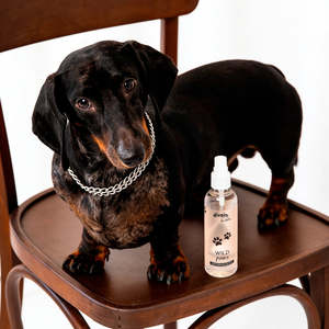 Divain Wild Paws Spray Profumo per Animali Domestici 100Ml - Product Image 3
