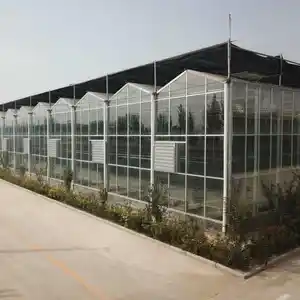 Venta caliente de cuatro estaciones de producción agrícola de vidrio invernadero Venlo casa verde con sistema de iluminación