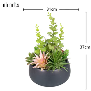 Oh fornitore di arti all'ingrosso decorazione per la casa simulazione di <span class=keywords><strong>piante</strong></span> in vaso artificiali misto <span class=keywords><strong>piante</strong></span> succulente in vaso di ceramica - Product Image 2
